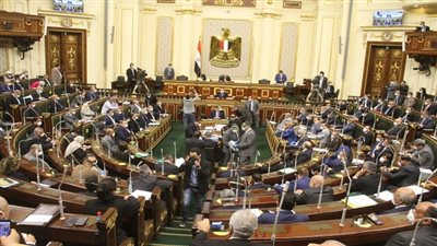 البرلمان يوافق على منحة فرنسية بـ200 ألف يورو لخلق فرص عمل للمرأة