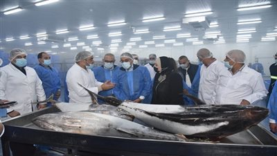 رئيس الوزارء يزور مصنع 