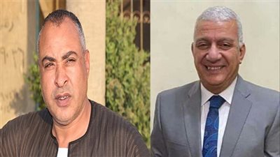 تعرف على المرشحان الآيلان للسقوط  في إنتخابات نواب 