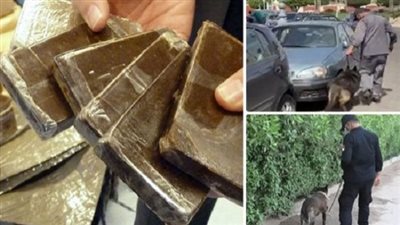 الداخلية تضبط شحنة استروكس والفودو المخدر بقيمة 20 مليون جنيه
