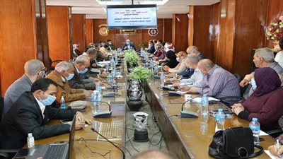 السويس تستعد لجولة الإعادة لمجلس النواب 2020