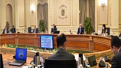 الحكومة توافق على تخصيص قطعتى أرض لإقامة محطتى شبكة معلوماتية لنهر النيل