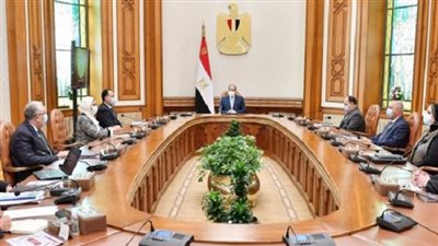 السيسى يوجه بالبدء الفورى فى الخطوات التنفيذية لإنشاء معامل مركزية بالموانئ