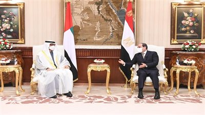 الرئيس يؤكد رفض مصر أية ممارسات تسعى إلى زعزعة استقرار الخليج