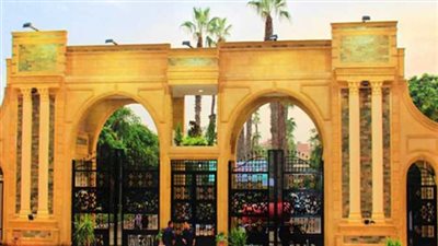 عاجل.. جامعة المنصورة تنفي خبر تعليق الدراسة