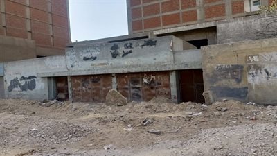 أنظري يا حكومة.. اغيثونا من بلطجية عين شمس