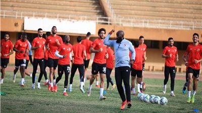 سلبية مسحة كورونا لبعثة الأهلي بالنيجر قبل مواجهة سونيديب