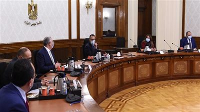 رئيس الوزراء يستعرض موقف الثروة السمكية وجهود تطوير بحيرة المنزلة