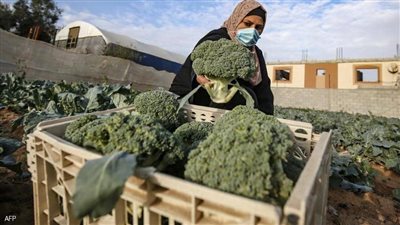 لمن يعاني التوتر.. 8 أغذية 