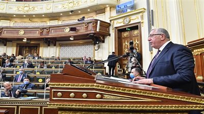 انفوجراف..  أبرز تصريحات وزير الزراعة أمام مجلس النواب