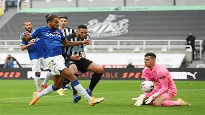 انتهت عقدة الرقم 19.. نيو كاسل يهزم إيفرتون بالدوري الإنجليزي 