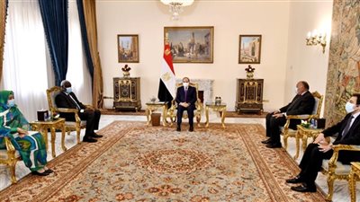 الرئيس السيسي: مصر لم ولن تدخر جهداً تجاه دعم أشقائها الأفارقة