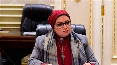 نائبة: أداء «النقل» فوق العالي.. والعمالة في «البترول» زائدة عن حاجة العمل