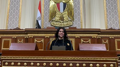 استجابة للرئيس السيسي.. برلمانية تعلن اعتزامها التقدم بمشروع قانون لتنظيم النسل