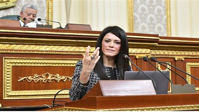 المشاط: مجلس النواب يقر اتفاقيات 5 منح تنموية بقيمة 41 مليون دولار