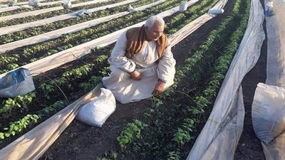 الفلاحين: مصر تستورد 40 مليار مكعب من المياه الافتراضية سنويا