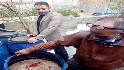 إستمرار حملات الطب الوقائى بمديرية الصحة للتفتيش على المنشآت الغذائية بالدقهلية