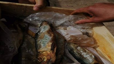 بالصور.. صحة الدقهلية: ضبط سلغ غذائية غير صالحة للإستهلاك الأدمي