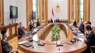 الرئيس السيسي يوجه بمواصلة النهوض بمنظومة القطن المصري واستعادة مكانته العالمية