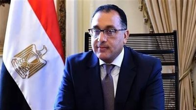 رئيس الوزراء يستعرض استراتيجية البنك المركزى للأمن السيبرانى