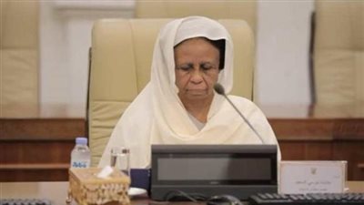 السودان يؤكد احترام المحكمة الجنائية الدولية ودورها