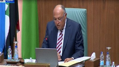 سامح شكري يطالب بعودة سوريا لمقعدها بالجامعة العربية