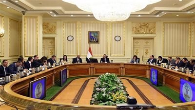 الوزراء يوافق على تخفيض غرامات زراعة الأرز