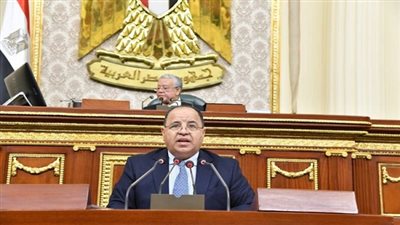 وزير المالية: 600 مليار جنيه التكلفة التقديرية لتطوير الريف 