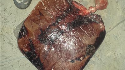 ضبط 99 طن مخللات و700 كيلو كبدة غير صالحة للاستهلاك الآدمى