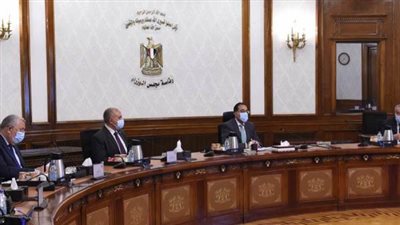 الحكومة: بدء تطبيق الزراعة التعاقدية فى فول الصويا وعباد الشمس