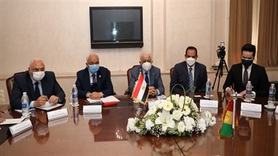 وزير التعليم يبحث سبل التعاون مع وزير خارجية جمهورية غينيا 