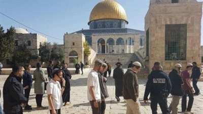 99 مستوطنا يقتحمون باحات المسجد الأقصى