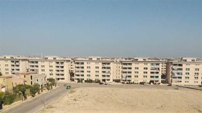 تحت شعار برج العرب تتزين.. نقابة المهندسين بالإسكندرية تزيل مخلفات الرصف والبناء