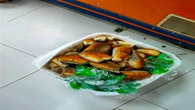 صحة السويس تشن حملة على الأسواق والمحلات التجارية