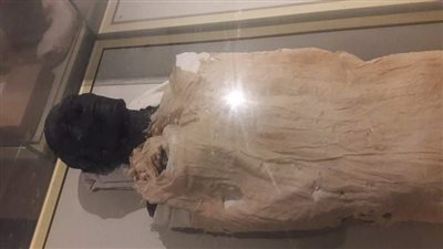 في حوار شامل لـ