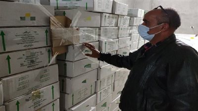 ضبط 1416 كيلو جرام سلع ومواد غذائية غير صالحة للاستهلاك الادمى بالمنصورة