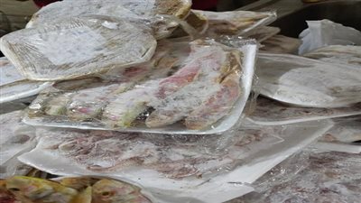 ضبط كميات من الأسماك منتهية الصلاحية بأحد مطاعم السويس 