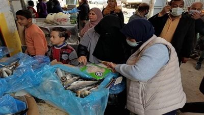 ضبط ٢٥٠ كليو اسماك مدخنة أثناء حملة تموينية بمدينة اجا بالدقهلية