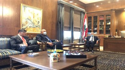 سامح شكرى يبحث مع نبيه برى مستجدات الوضع فى لبنان