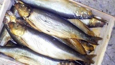 الصحة: توافر مصل البوتيوليزم لحالات التسمم الغذائى