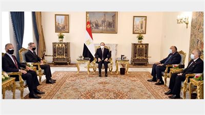 بالفيديو.. سد النهضة يتصدر النشاط الرئاسي اليوم