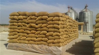 وزير التموين يعلن توريد 1.4 مليون طن قمح 