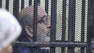 تطورات طعن شقيق بطرس غالى فى قضية الآثار 