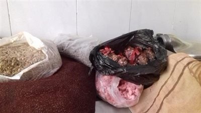 ضبط كميات كبيرة من اللحوم الغير صالحة للإستهلاك الآدمي.. بالسويس  