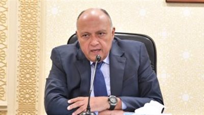 وزير الخارجية يبحث مع 