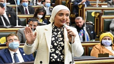برلمانية: مبادرة الرئيس لإعمار غزة يعكس موقف مصر الراسخ نحو مُساندة الشعب الفلسطيني 