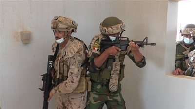 إستمرار فعاليات التدريب المصرى الإماراتى المشترك (زايد 3) 