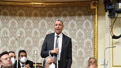 وكيل مجلس النواب: القيادة السياسية تدعم تمكين المرأة والشباب