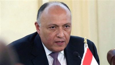 شكرى يدعو الحكومة الاسرائيلية لاتخاذ قرارات لاستئناف عملية السلام