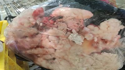 تموين الفيوم: ضبط 60 كيلو جرام لحوم ودواجن فاسدة بناحية دار الرماد والتفتيش